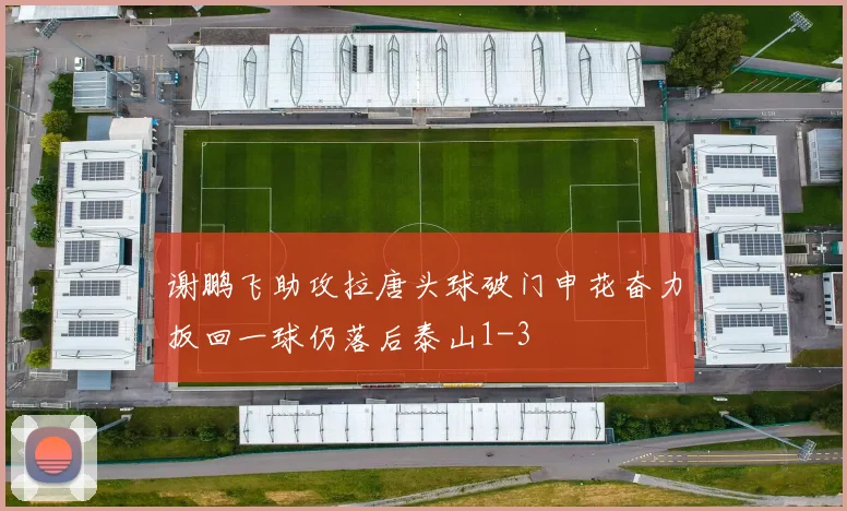 谢鹏飞助攻拉唐头球破门申花奋力扳回一球仍落后泰山1-3