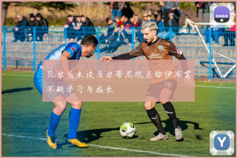 贝尔戈米谈马尔蒂尼观点称伊布需不断学习与成长