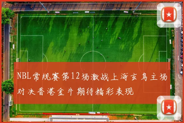 NBL常规赛第12场激战上海玄鸟主场对决香港金牛期待精彩表现